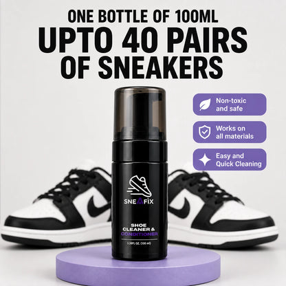 Shoe Cleaning Kit